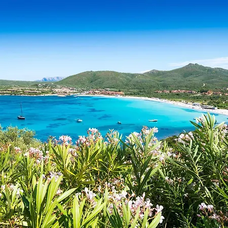 Appartement Le Dalie With Shared Pool - Happy